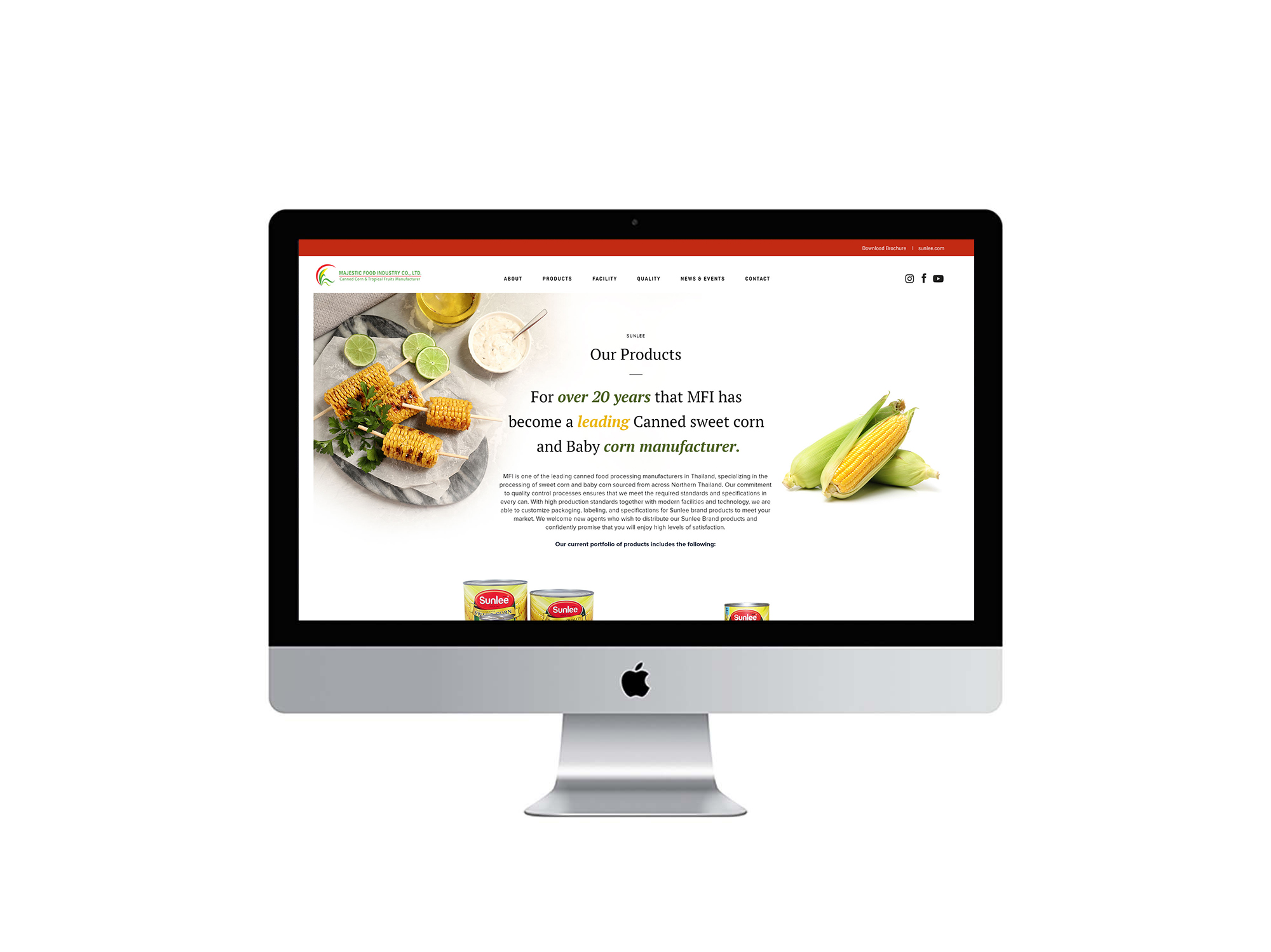 Reeponsitive Corporate Website Design