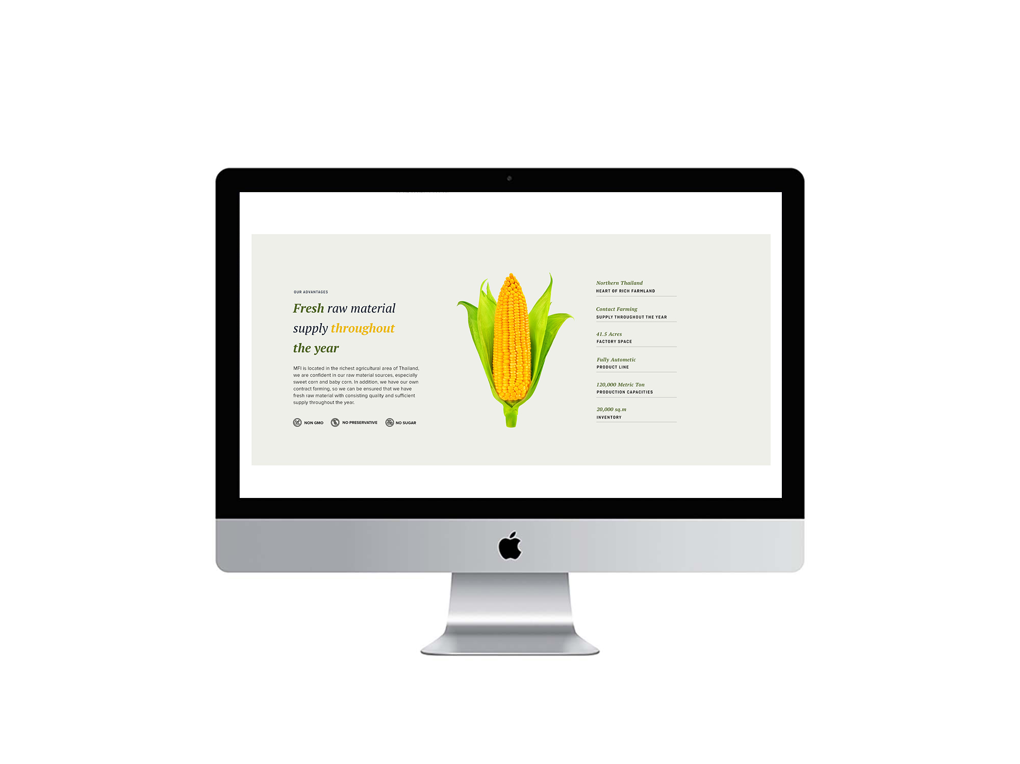 Reeponsitive Corporate Website Design