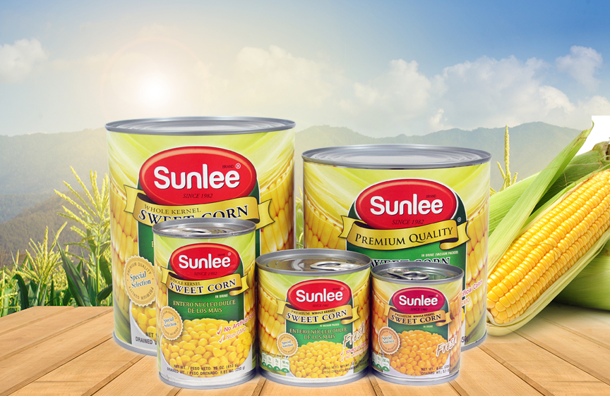 website design and development company website design and development company