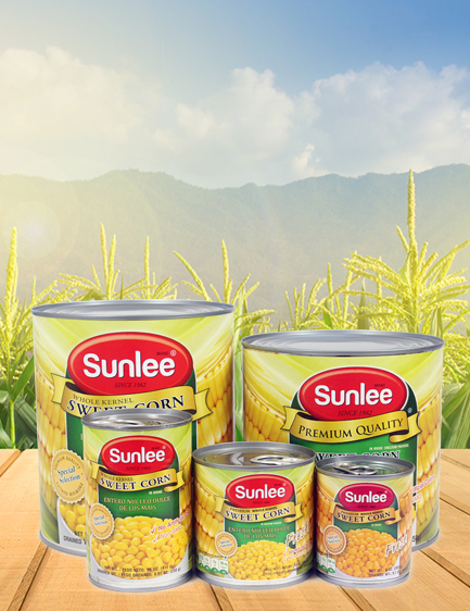 website design and development company website design and development company