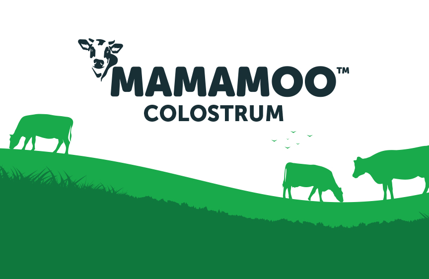 packaging design consumer products packaging design consumer products