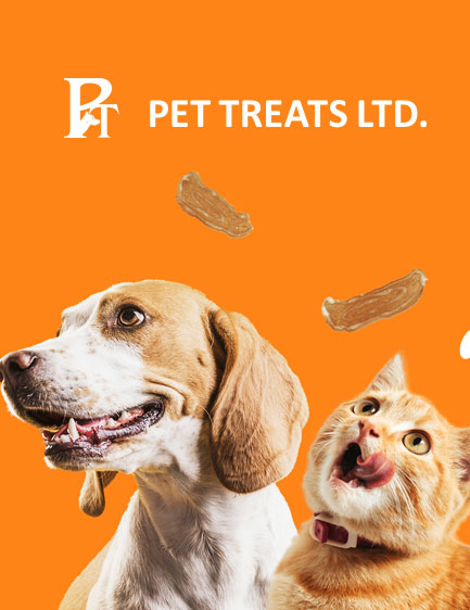 Website Design and development Website Design and development