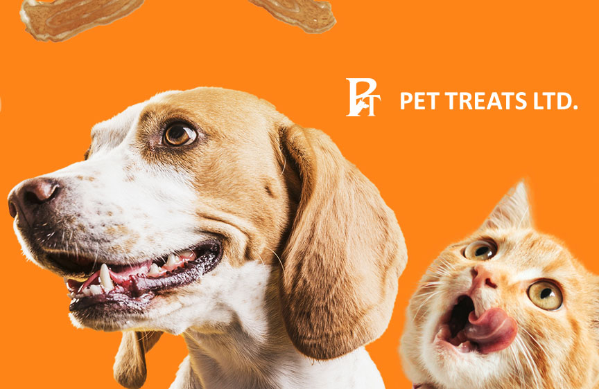 Website Design and development